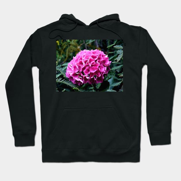 Deep Pink Summer Hydrangea Photo with Digital Effects Hoodie by SeaChangeDesign